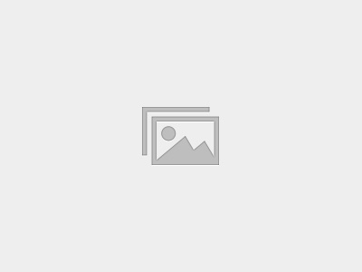 MSR Fundamentals – Level 1 Certification program